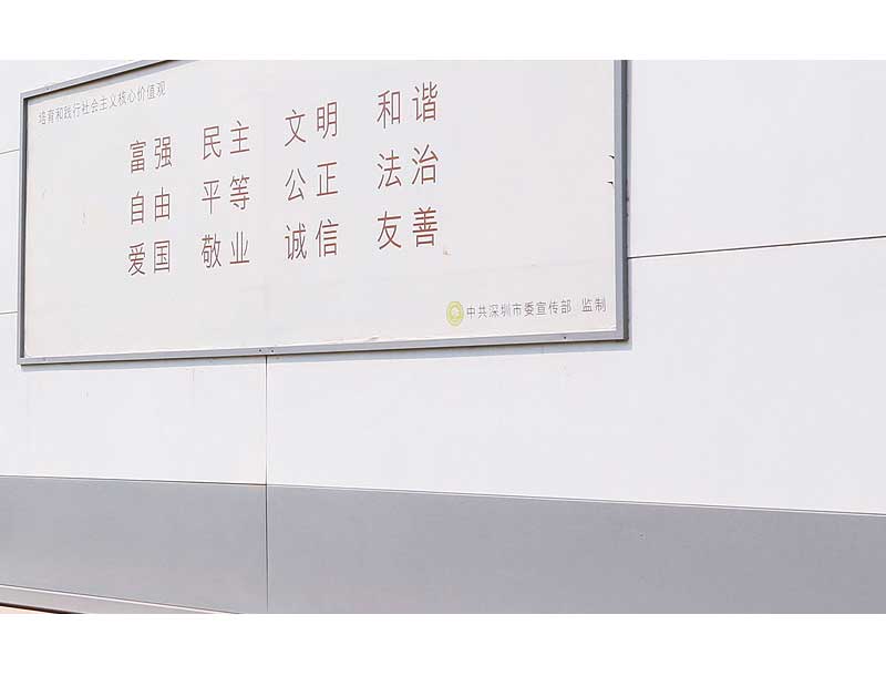 案例展示三